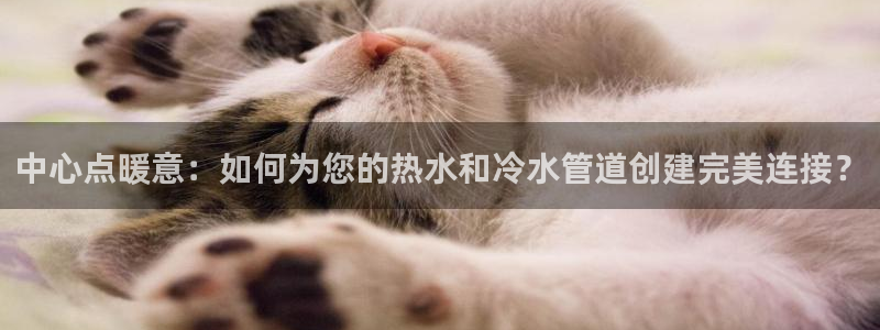 威九国际网站入口rdquo