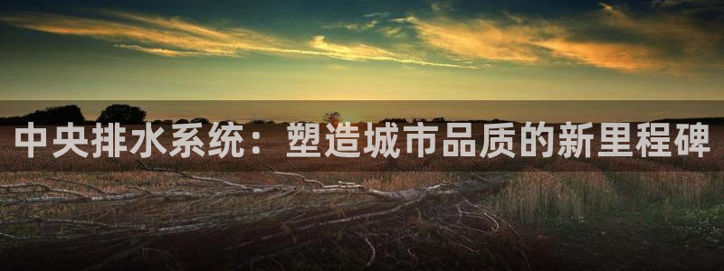 威九国际安全吗的认证团队