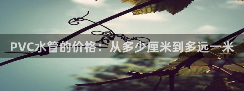 威九国际78m78免费