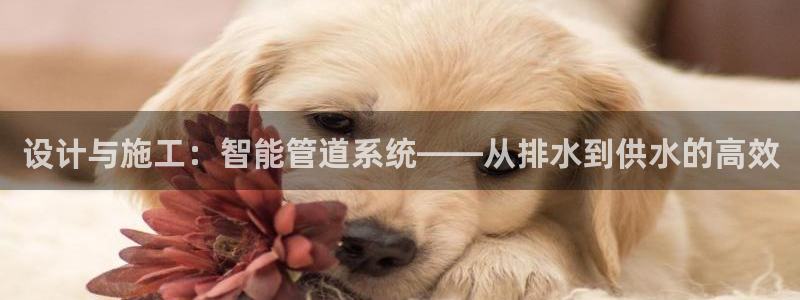 威九国际电影HD