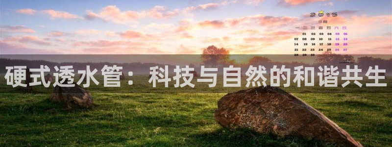 威九国际网站进入AB,AB