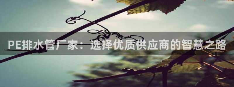 威九国际网站进入客服中心