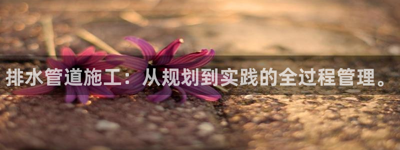 威九国际网站入口地址在哪里