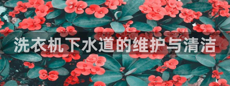 威九国际摩托电影HD