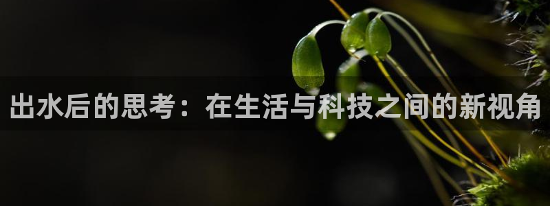 威九国际精修! #手机使用技巧