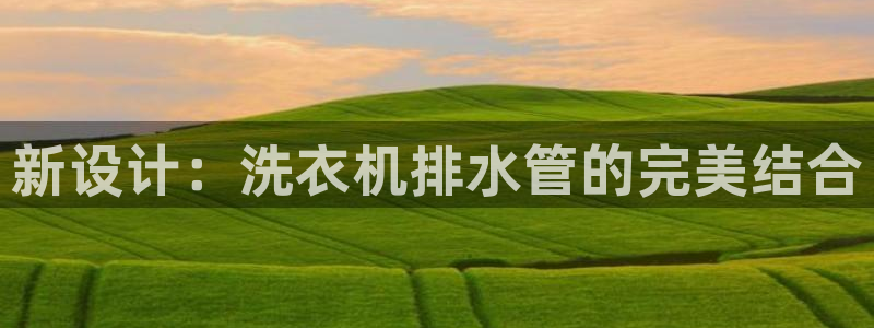 威九国际空降服务怎么样