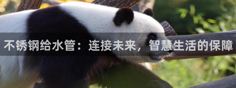 保定威九网络科技有限公司怎么样