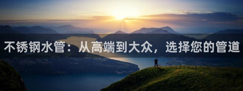 威九国际官方入口官网