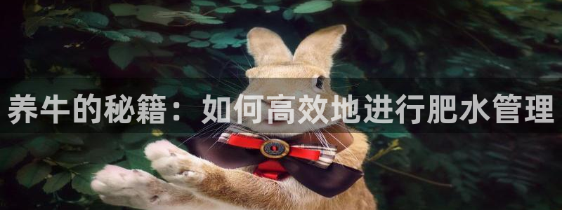 威九国际游戏入口