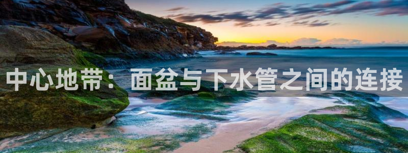 威九国际女艺人