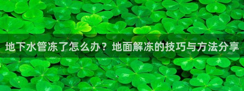 威九国际h5