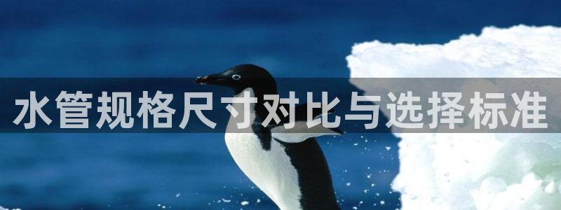 威九国际78mapp官网版下载