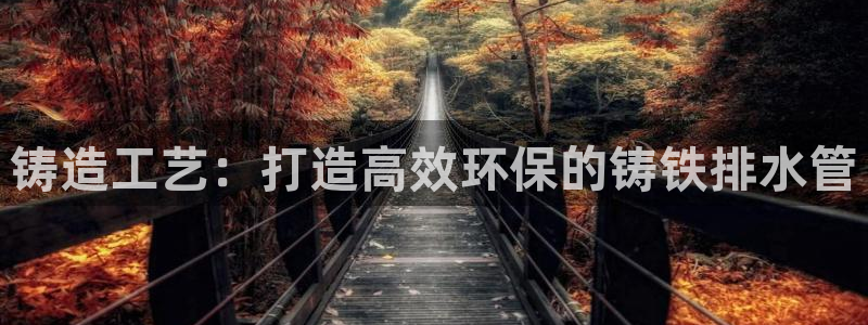 威九国际图片