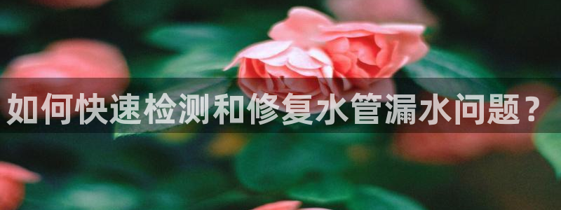 威九国际人民网