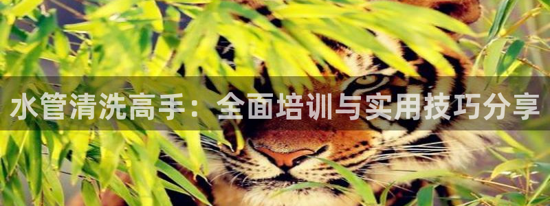 威九国际网站入口地址