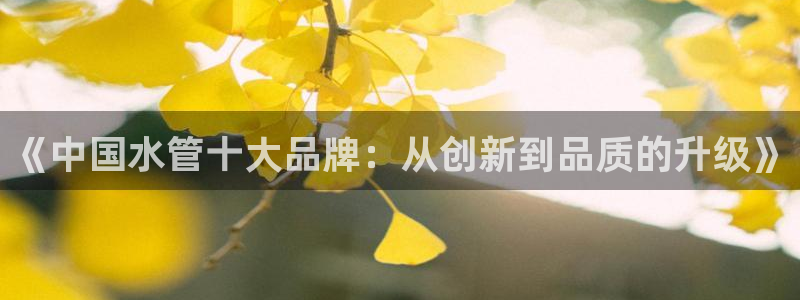 威九国际网站客服电话多少