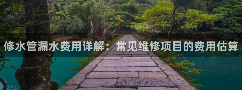 威九国际ppt免费