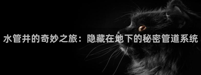 威九国际精彩推荐