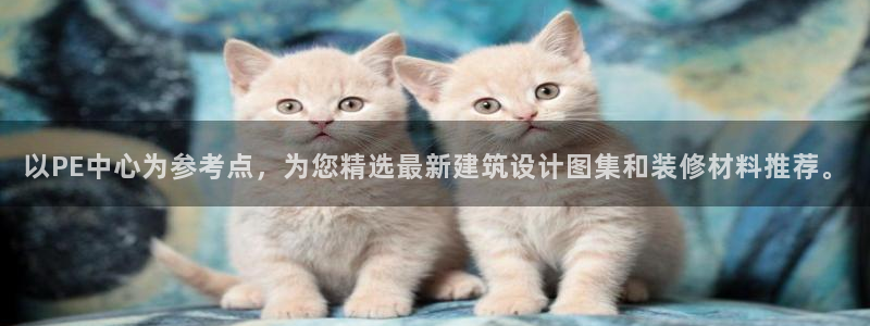 威九国际新