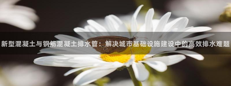 78mapp威九国际最新版