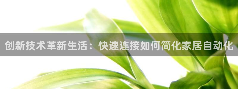 威九国际网站链接怎么打开