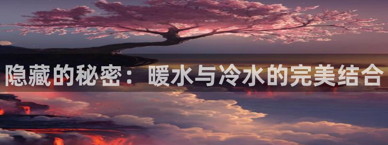 威九国际78mb游戏