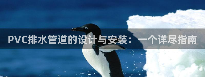 威九国际精彩推荐怎么样