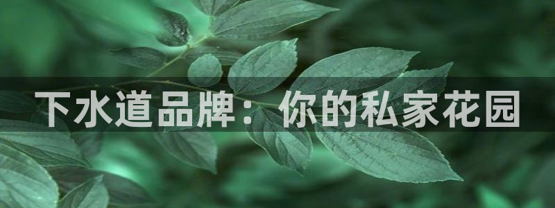 威九国际可以提现吗