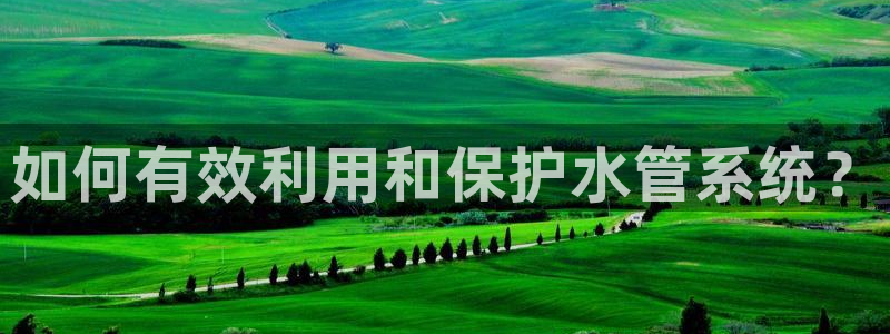 威九国际66m-66