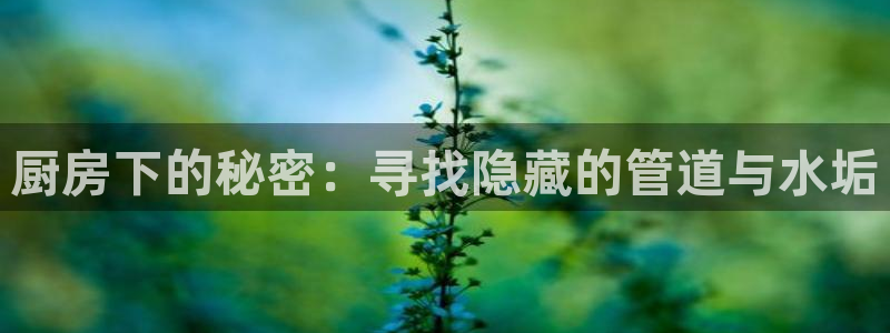 威九国际78mob游戏亮点