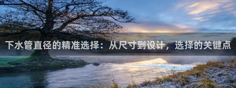 威九国际最新