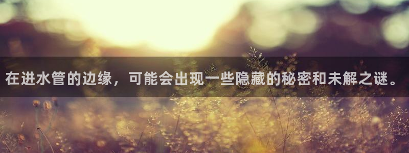 威九国际精