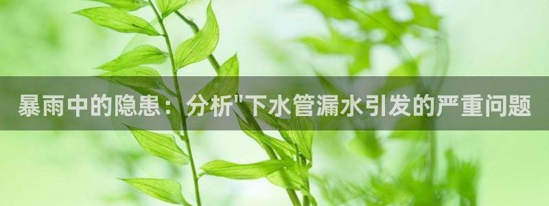 威九国际66在线