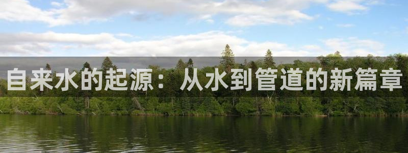 威九国际女