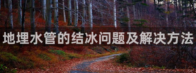 威九国际在哪里