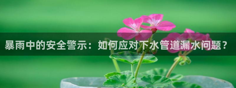 威九国际犯法吗