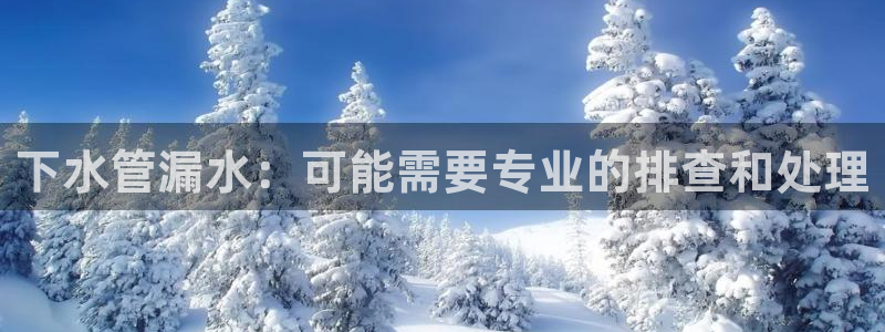 78mapp威九国际网页版