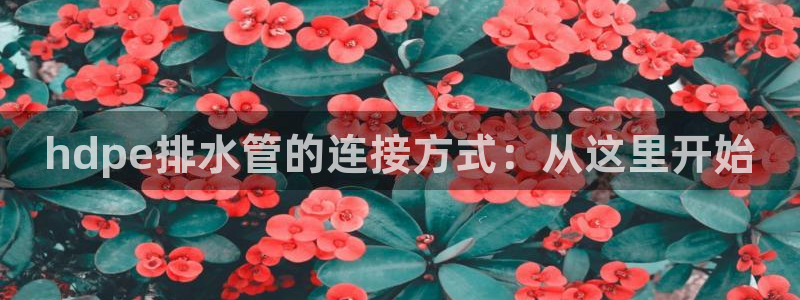 威九国际免费游戏