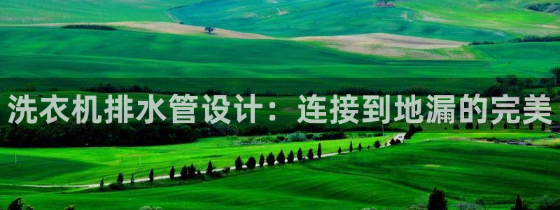 威九国际官网登录入口网站