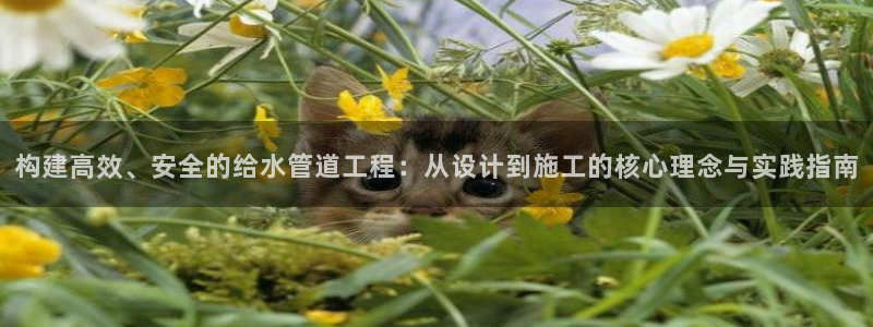 威九国际免费游戏