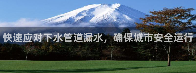 威九国际APP入口