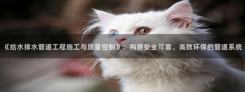 威九国际78mb游戏