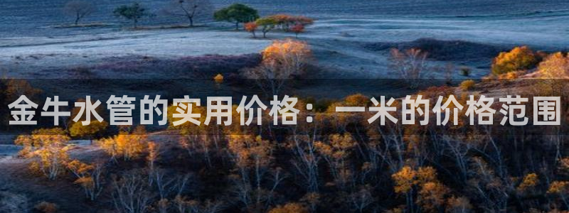 威九国际在哪里