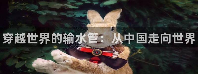 威九国际网站是多少