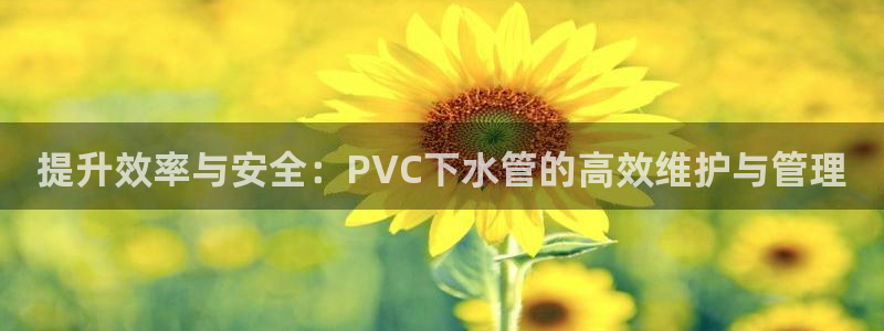 威九国际在线平台怎么样啊