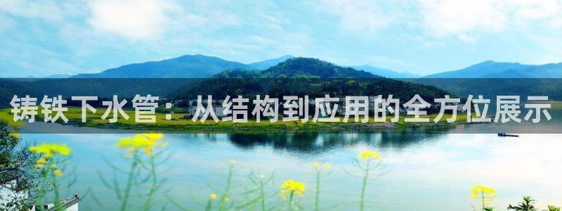 威九国际网站怎么样可靠吗