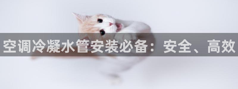 威九国际网站入口官网首页登录