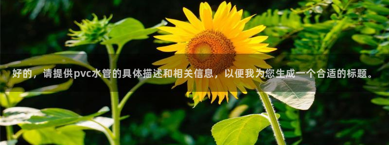 威九国际可以提现吗现在