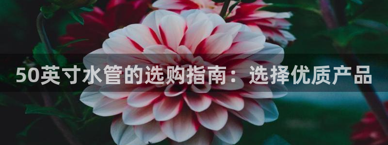 威九国际男演员