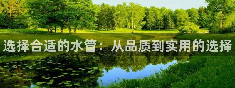 威九国际免费版